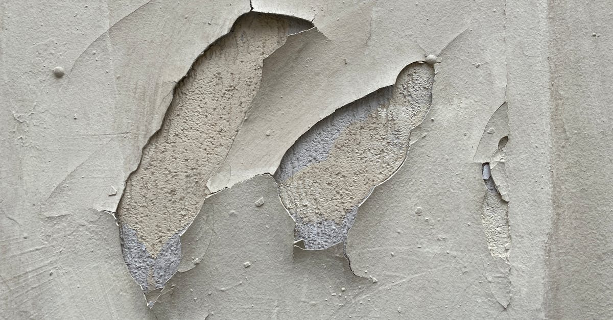 Unabhängige Gutachten für Immobilien und Bauschäden